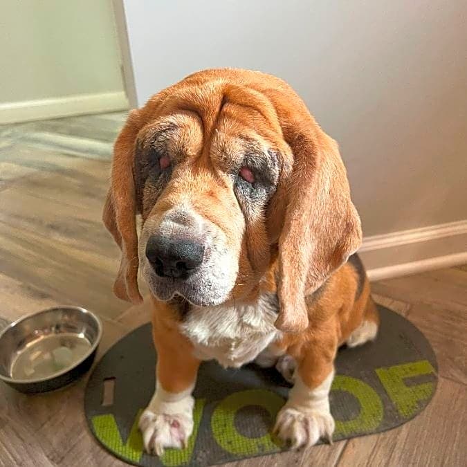 Photo of Lulu