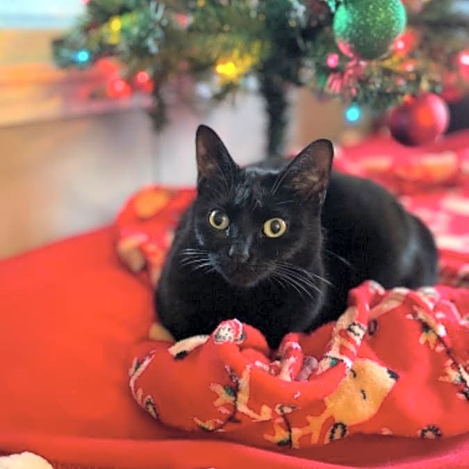 Photo of Zena