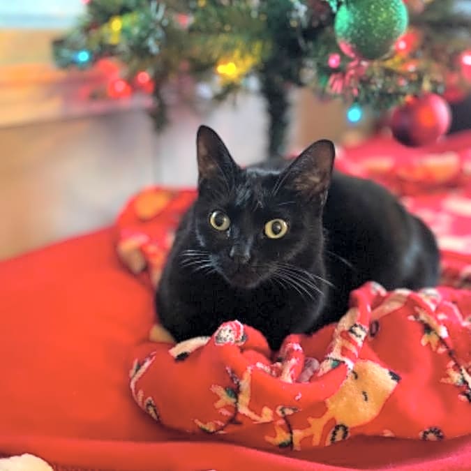 Photo of Zena