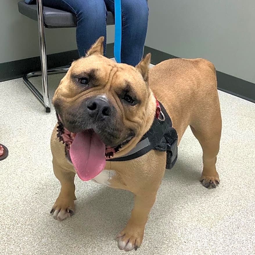 Photo of Tank