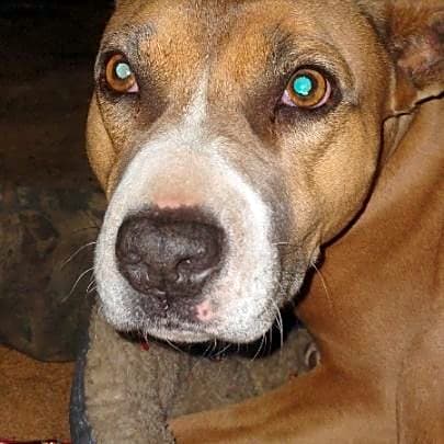 Photo of Blue