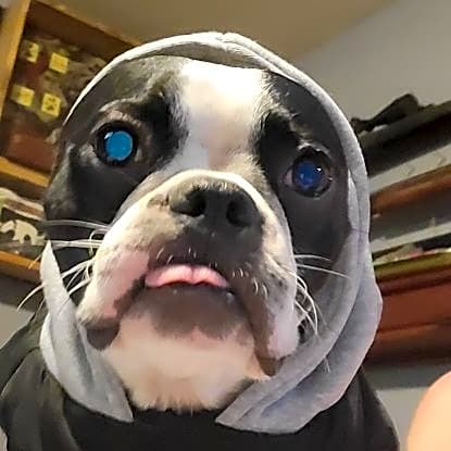 Photo of Walter