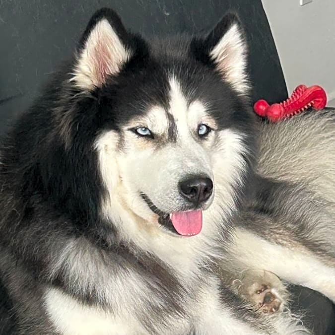 Photo of Ghost