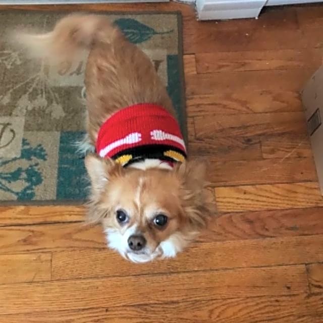 Photo of Lola