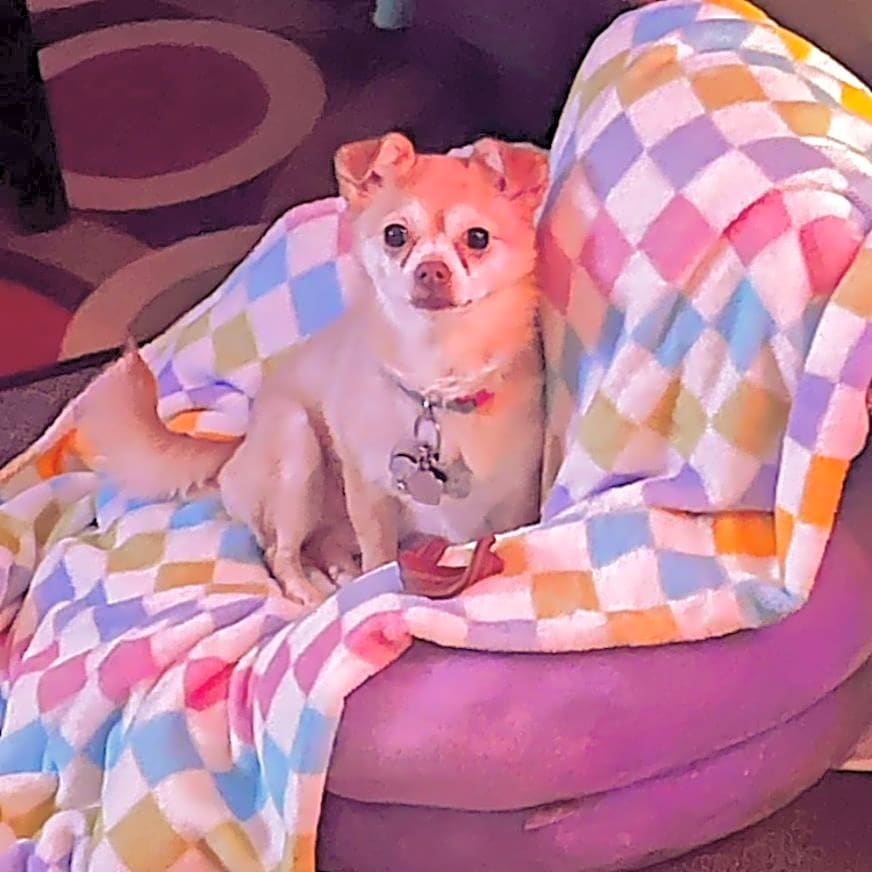 Photo of Harmony Angel Friedlander