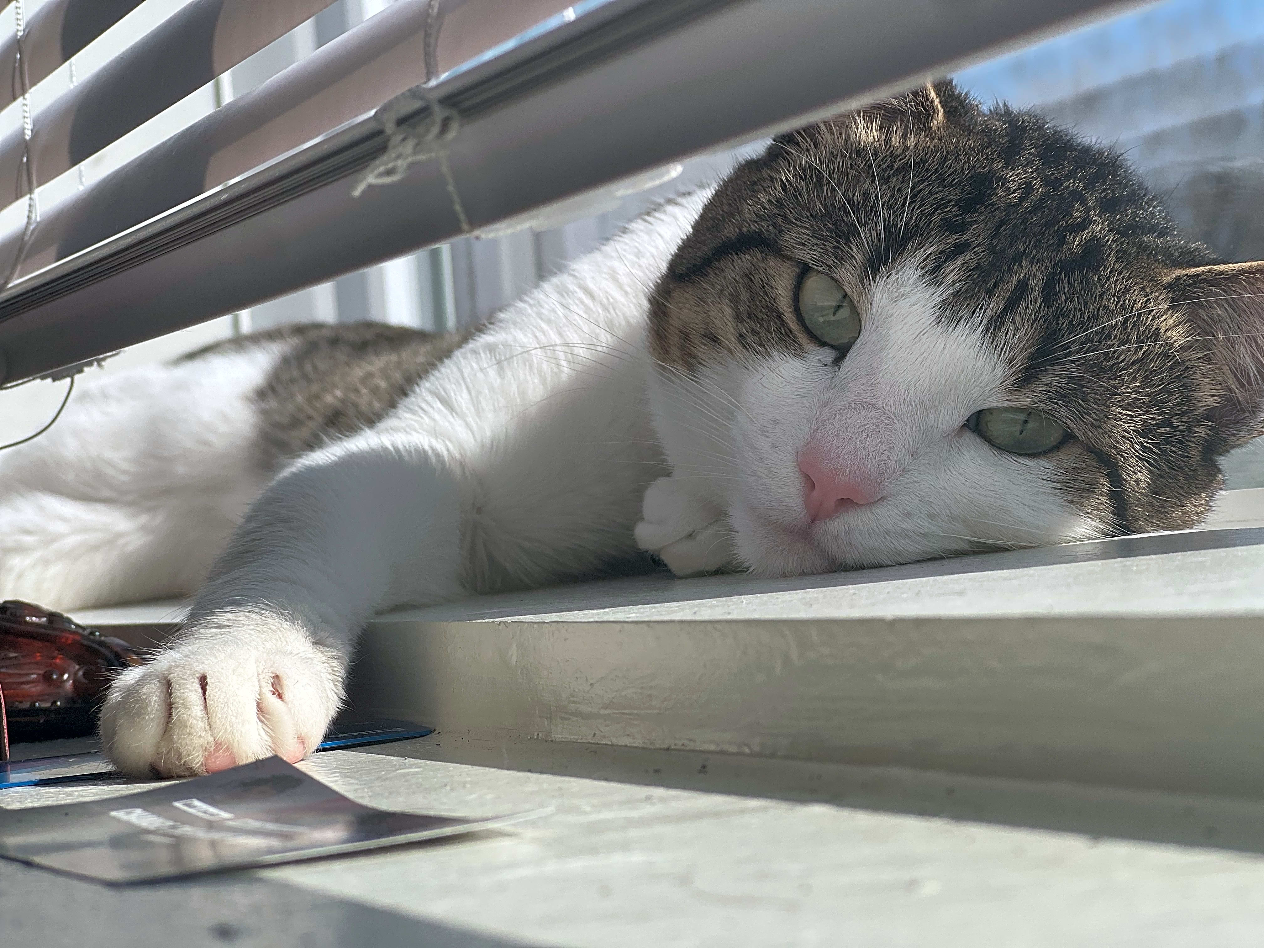 Photo of Gucci
