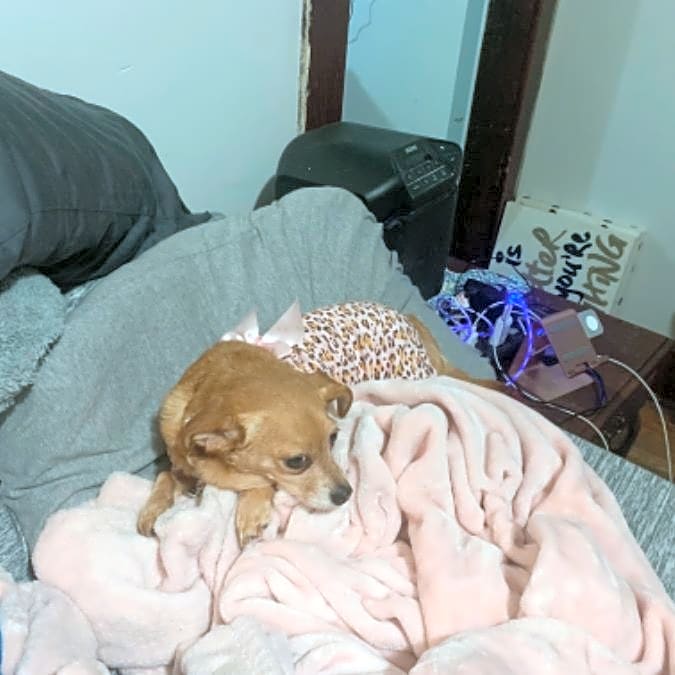Photo of Dinky