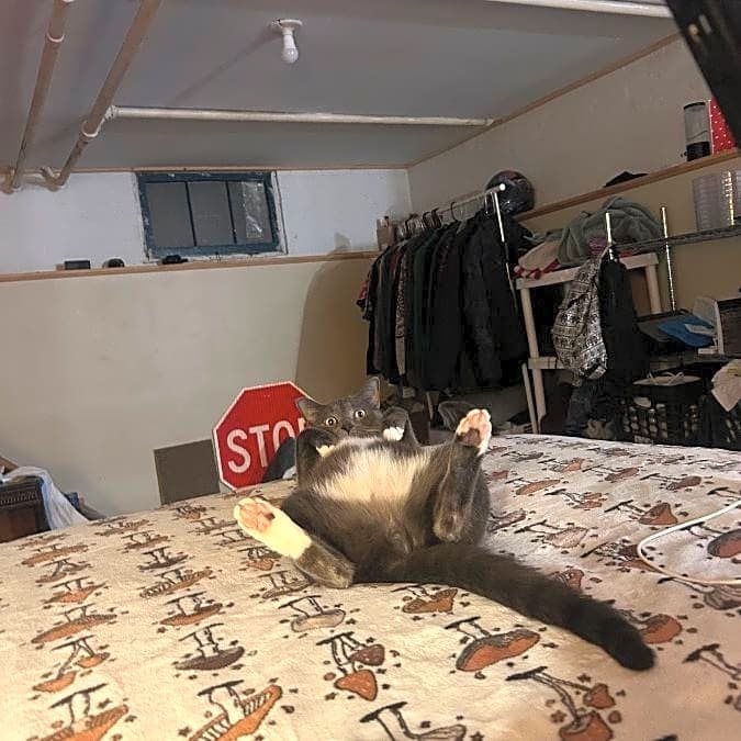 Photo of Bob