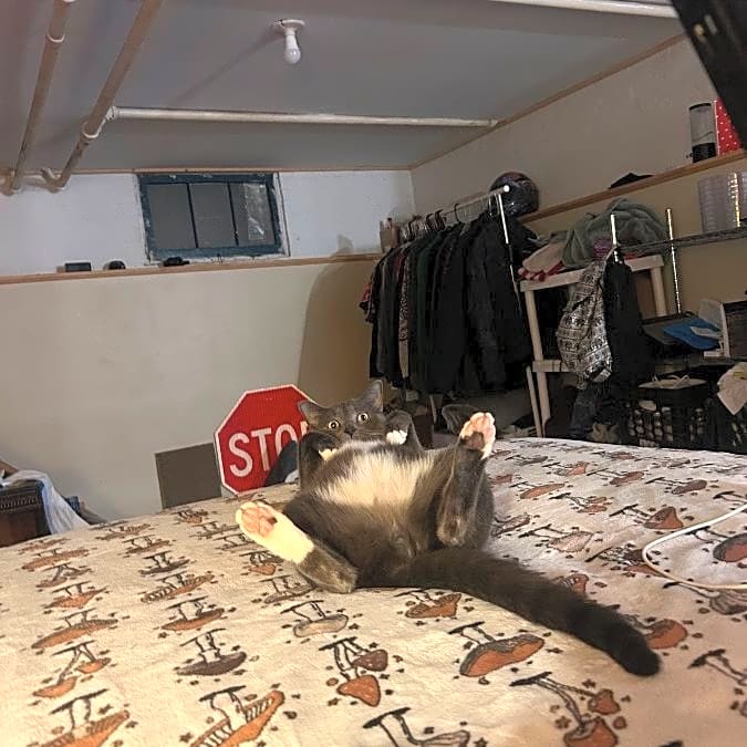 Photo of Bob
