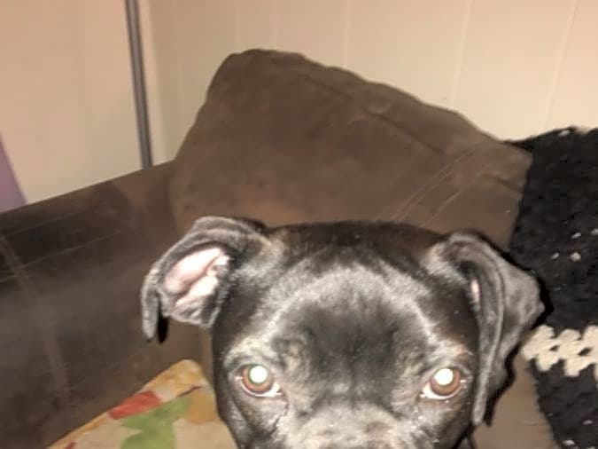 Photo of Ruby Jean