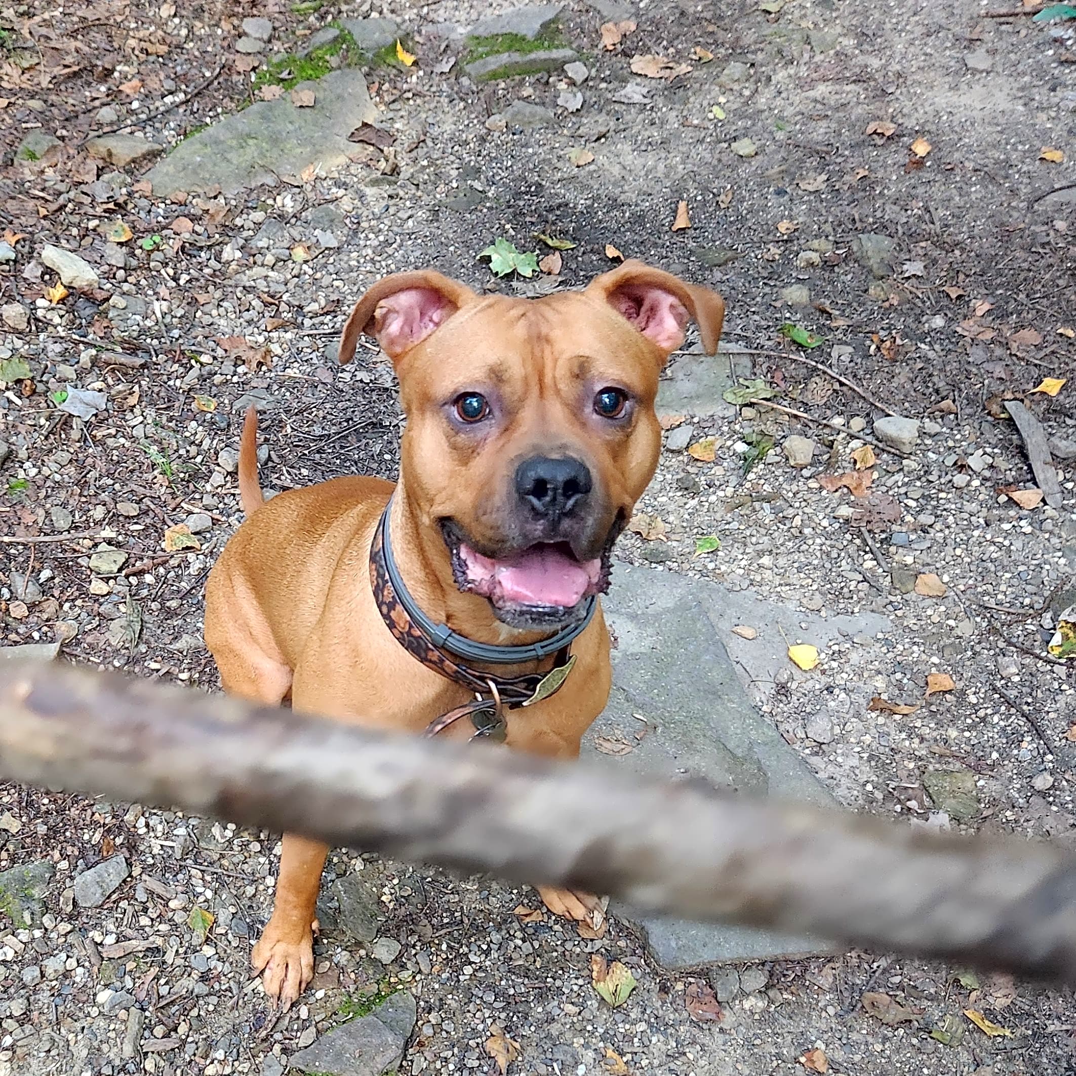 Photo of Artemis