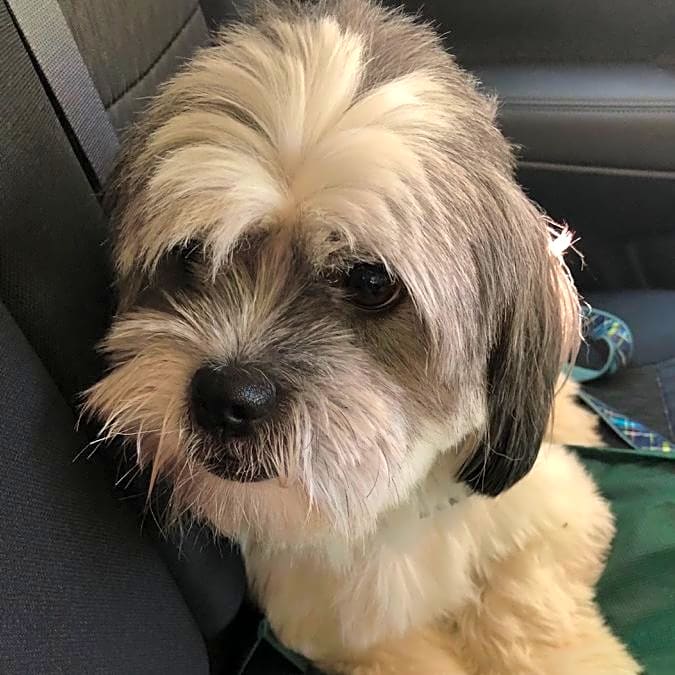 Photo of Charlie