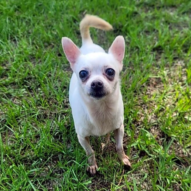 Photo of Chiquita