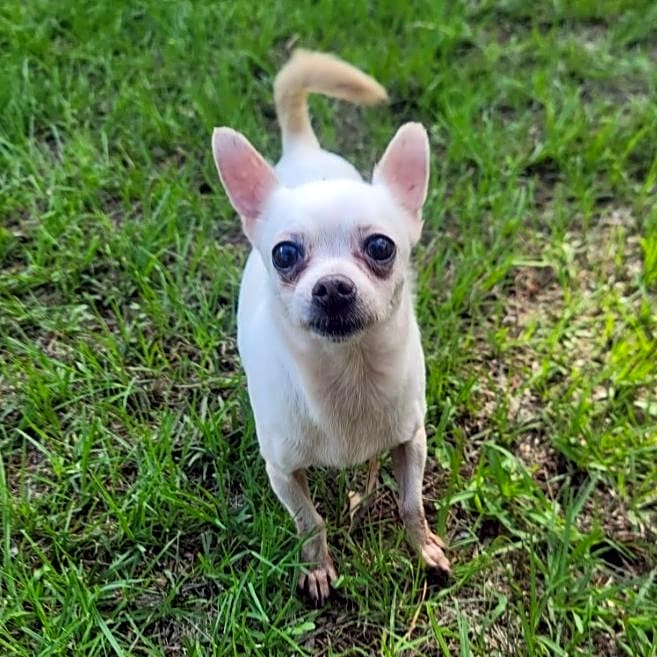 Photo of Chiquita