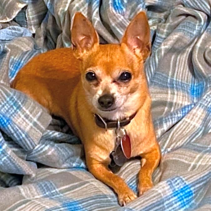 Photo of Boosie Davis Willis