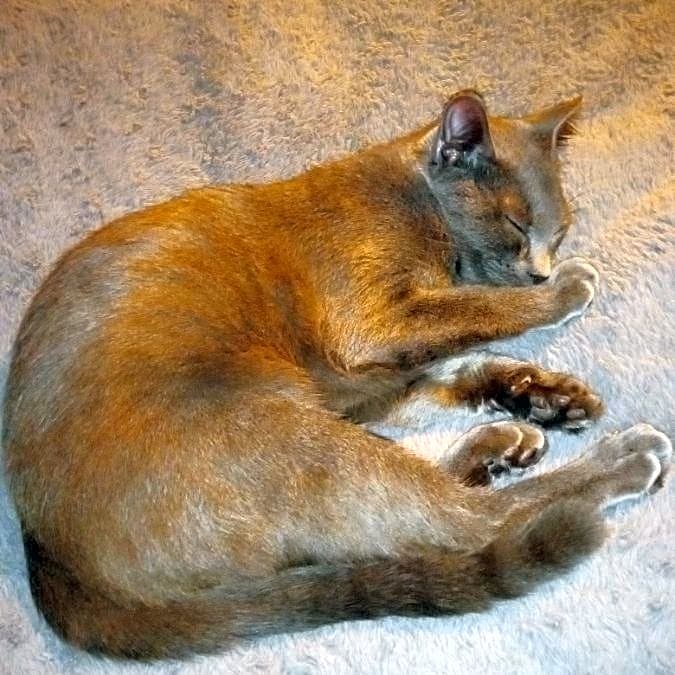 Photo of Blu