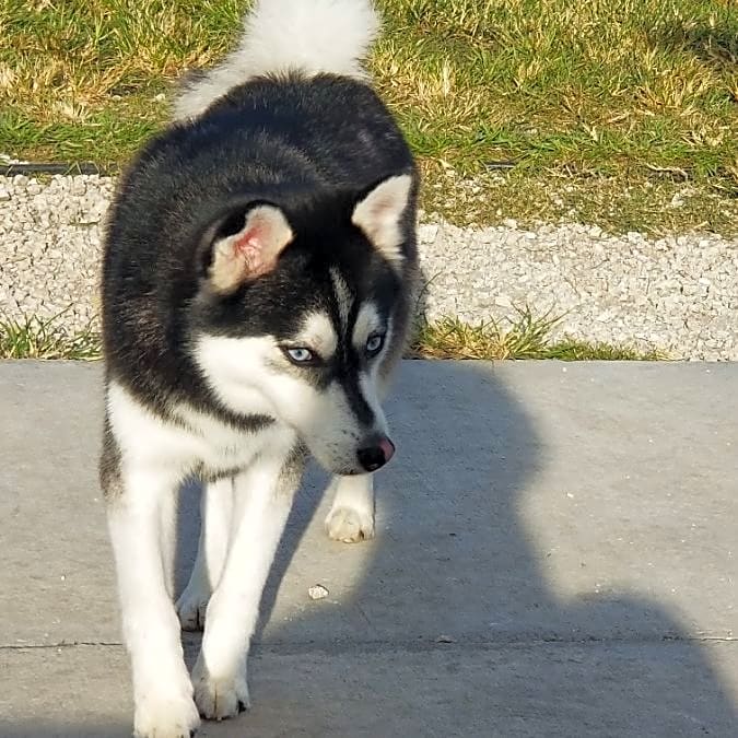 Photo of Eros