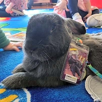 Photo of Smokey