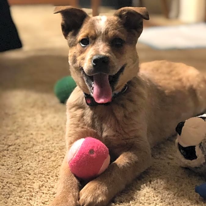 Photo of Lexie