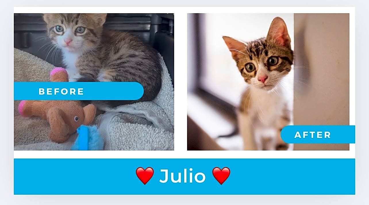 Photo of Julio