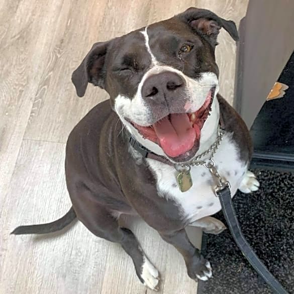 Photo of ROSCO