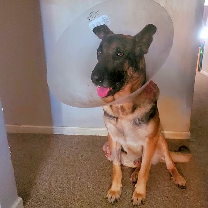 Photo of Max
