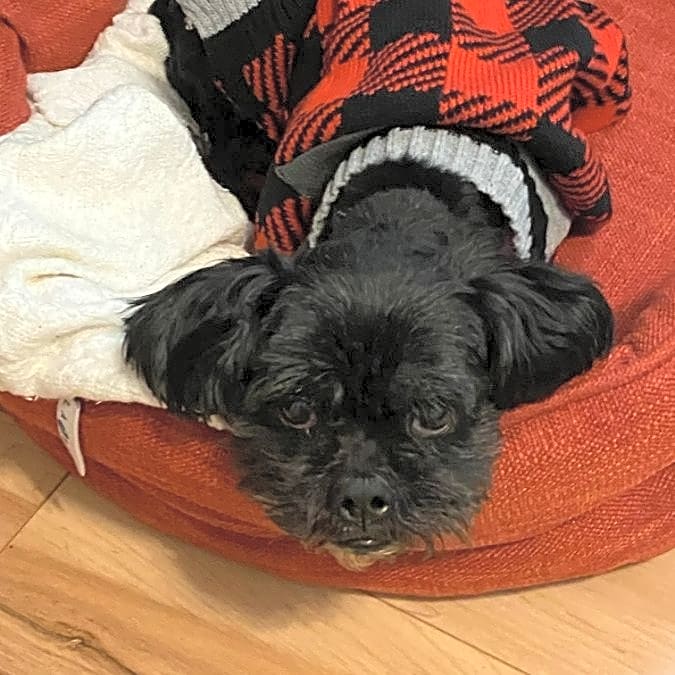 Photo of Buster