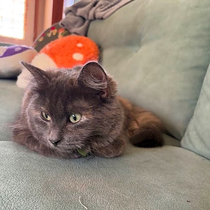 Photo of Winona