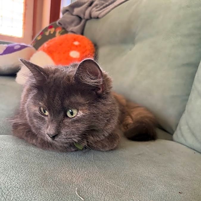 Photo of Winona