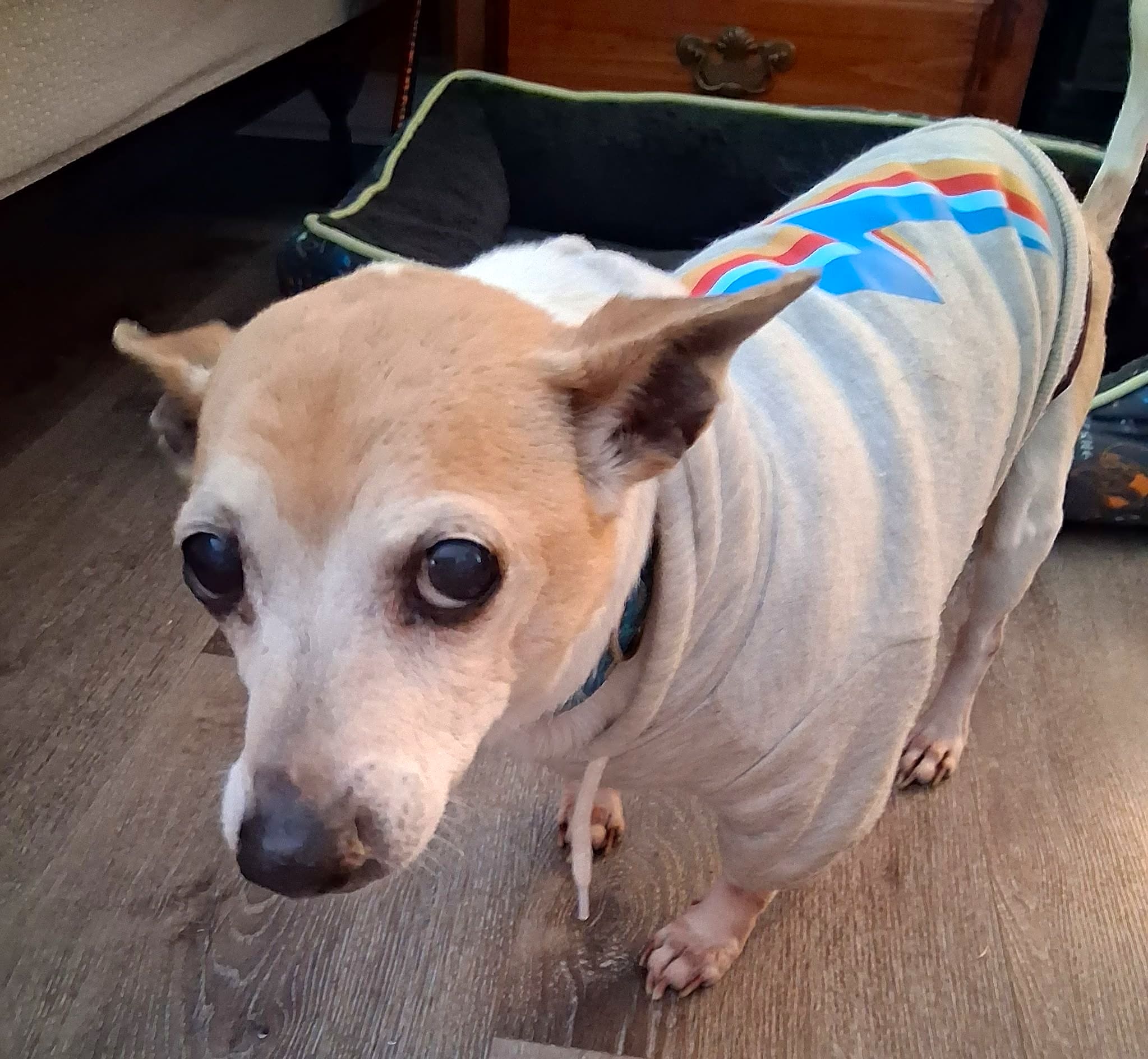 Photo of Sporty