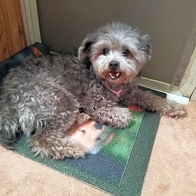 Photo of Princess