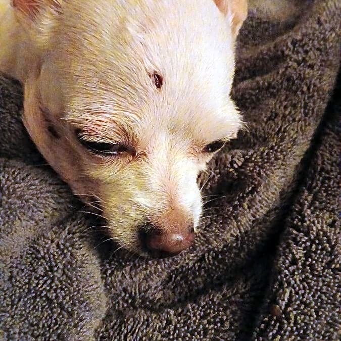Photo of Babygirl