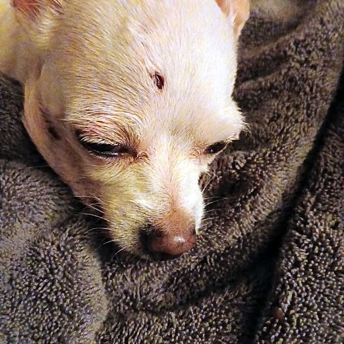 Photo of Babygirl