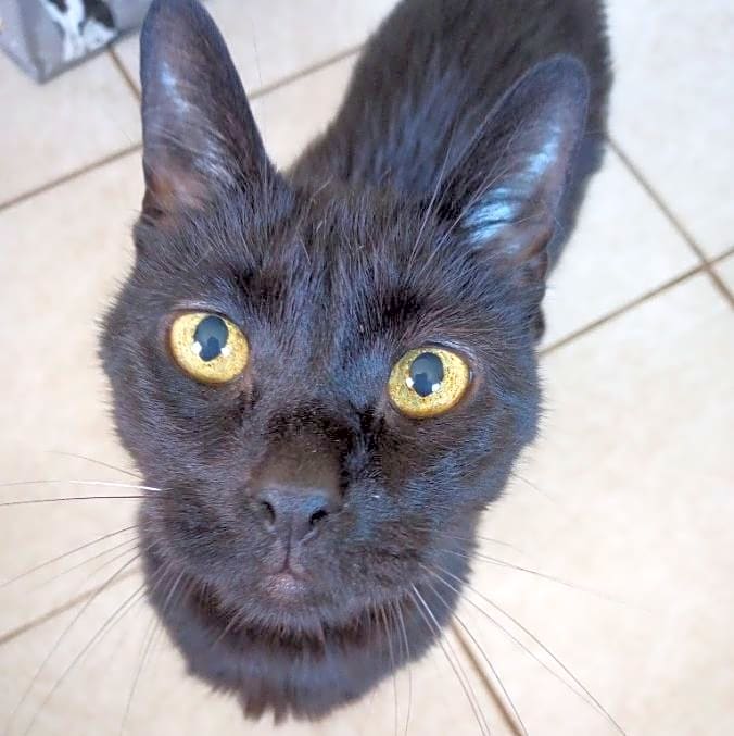 Photo of Mr Sir Otis