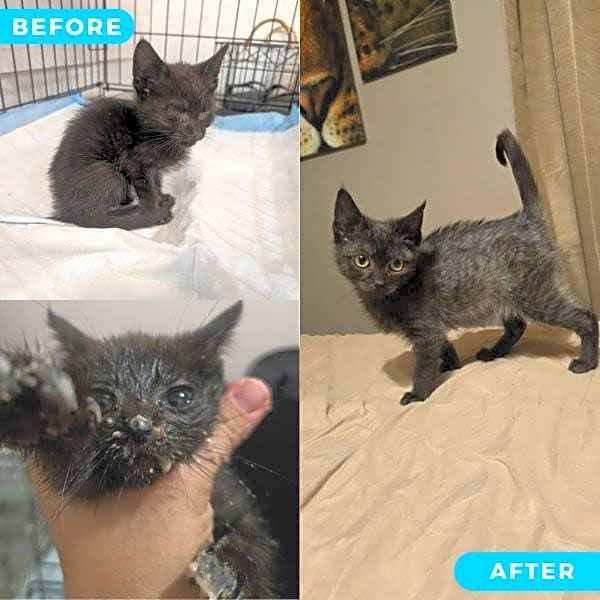 Photo of Baby Belle