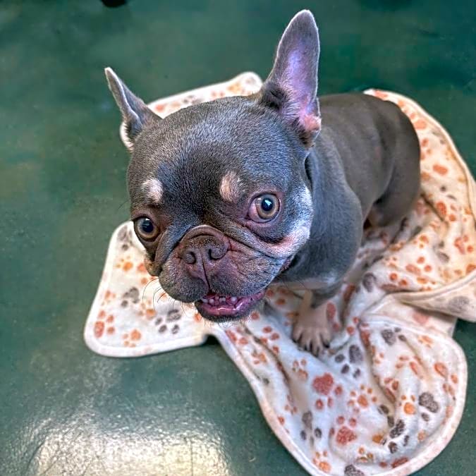 Photo of Lulu