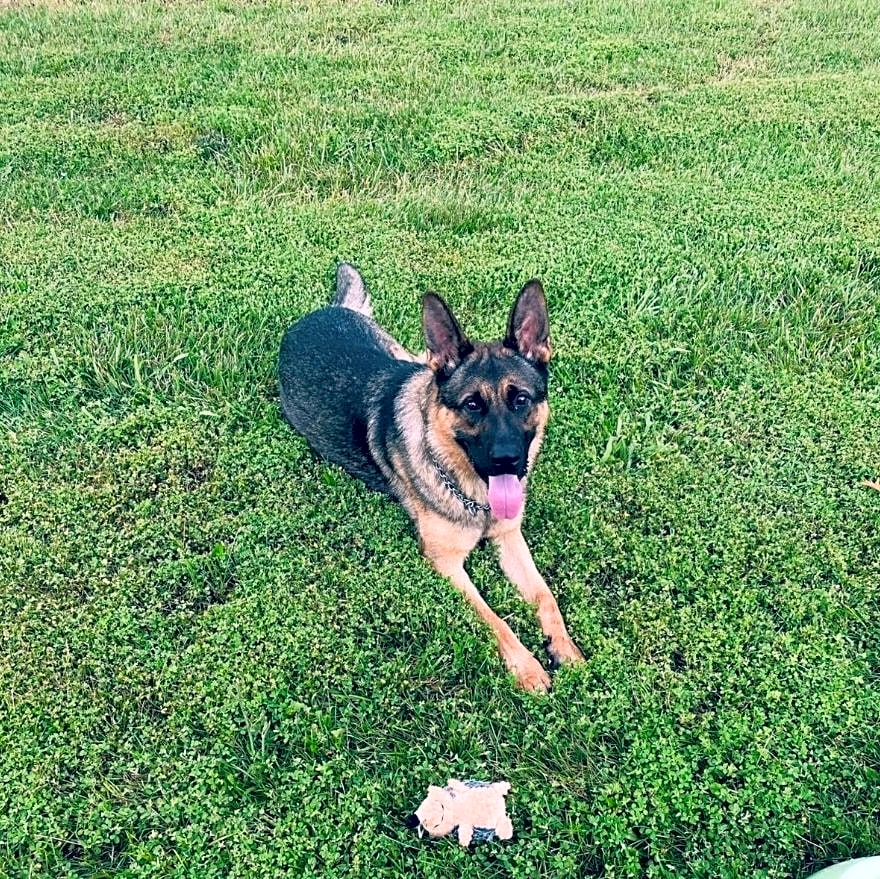 Photo of Ari