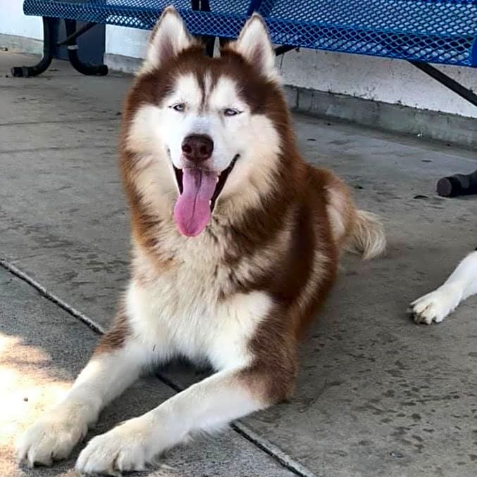 Photo of Kobe