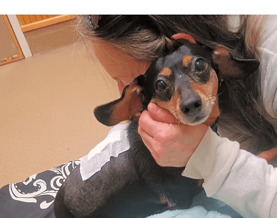 Photo of Mazie
