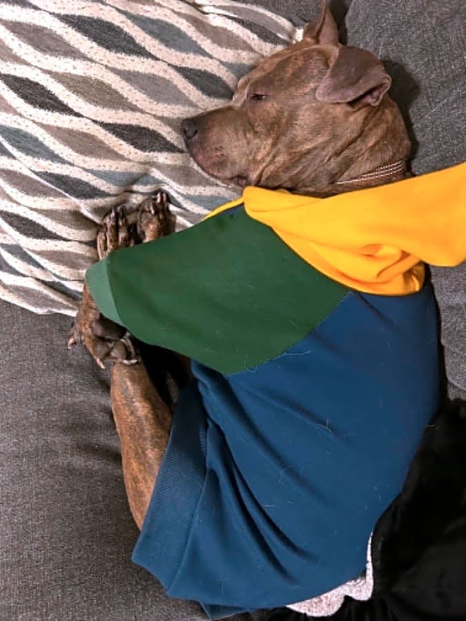 Photo of Rosie