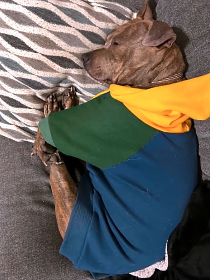 Photo of Rosie