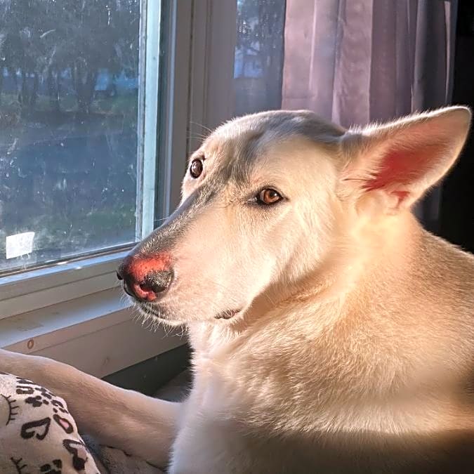 Photo of Hailey