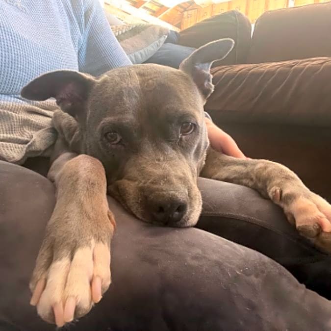 Photo of Mia