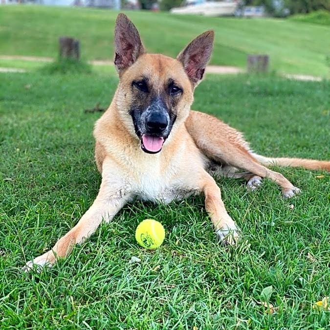 Photo of Loki