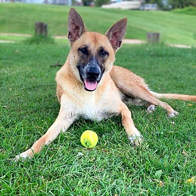 Photo of Loki