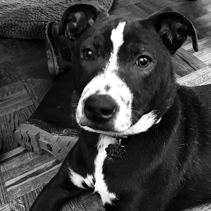 Photo of Loretta