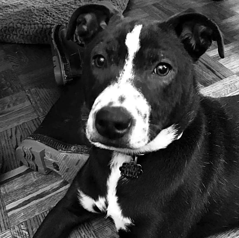 Photo of Loretta