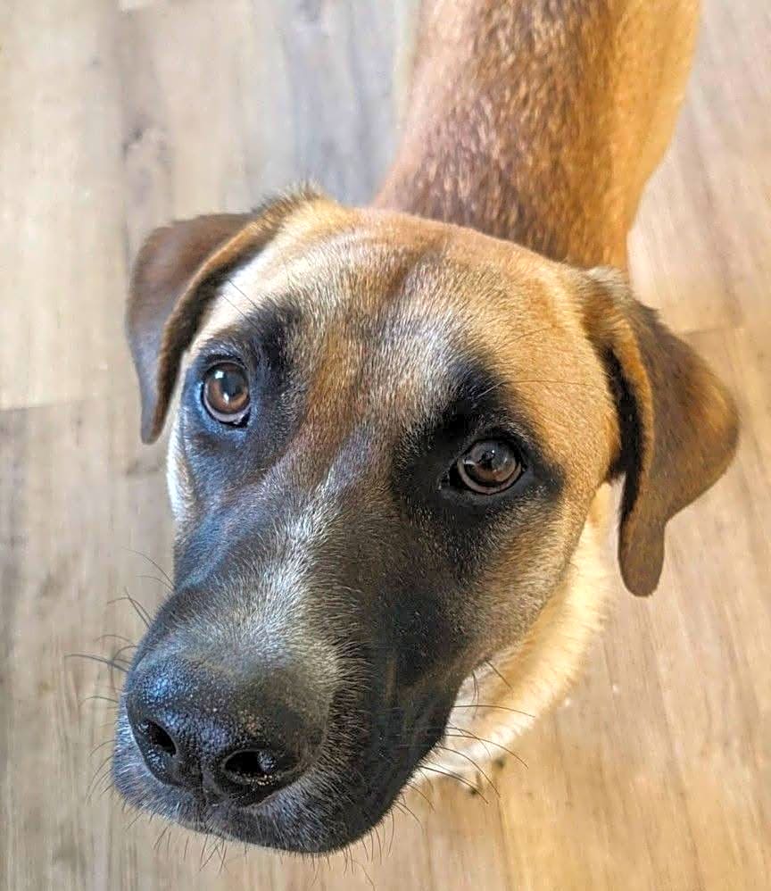Photo of Zyla