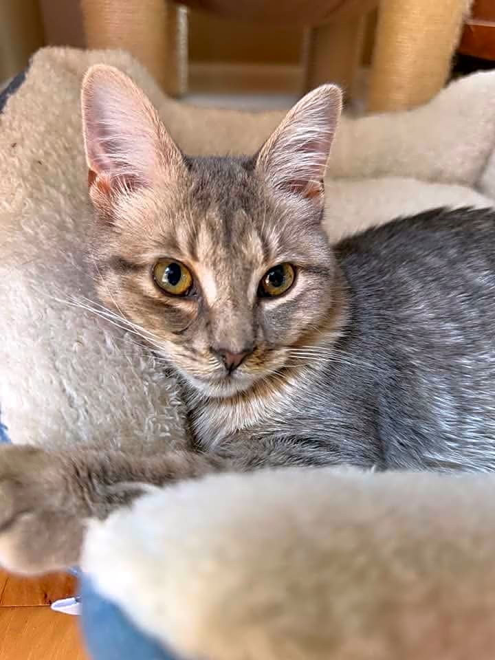 Photo of Twyla