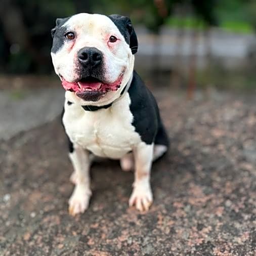 Photo of Wally